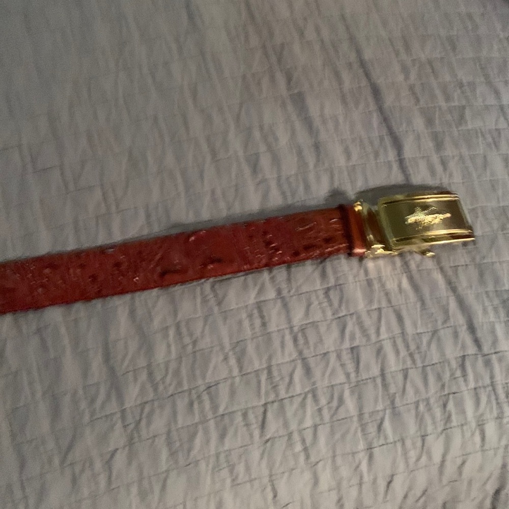 Saltwater crocodile belt the brand new with no tag